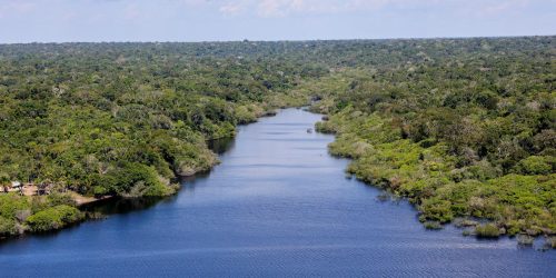 Fundo Amazônia financia reflorestamento em terras indígenas Imagem referente a Fundo Amazônia financia reflorestamento em terras indígenas