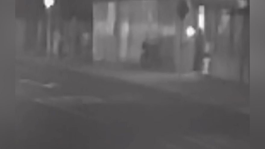 Imagem flagra momento em que homem é atacado por pitbull no Bairro Cancelli
