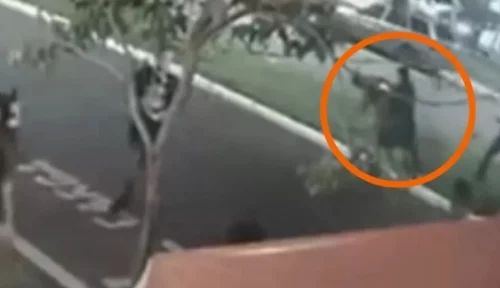 Trabalhador rural é morto em briga de boate; veja vídeo Imagem referente a Trabalhador rural é morto em briga de boate; veja vídeo