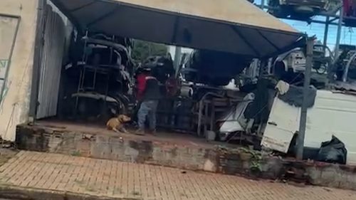 Morador de rua é flagrado agredindo cachorro em Cascavel Imagem referente a Morador de rua é flagrado agredindo cachorro em Cascavel