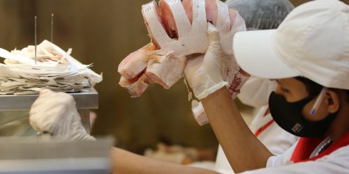 Santa Feira do Peixe começa nesta terça-feira em São Paulo Imagem referente a Santa Feira do Peixe começa nesta terça-feira em São Paulo