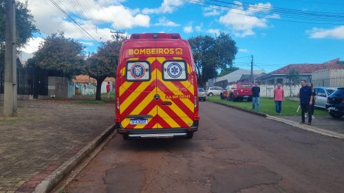 Mulher tenta ajudar vizinha que sofreu queda, mas é atacada por cães no Bairro Parque São Paulo Imagem referente a Mulher tenta ajudar vizinha que sofreu queda, mas é atacada por cães no Bairro Parque São Paulo