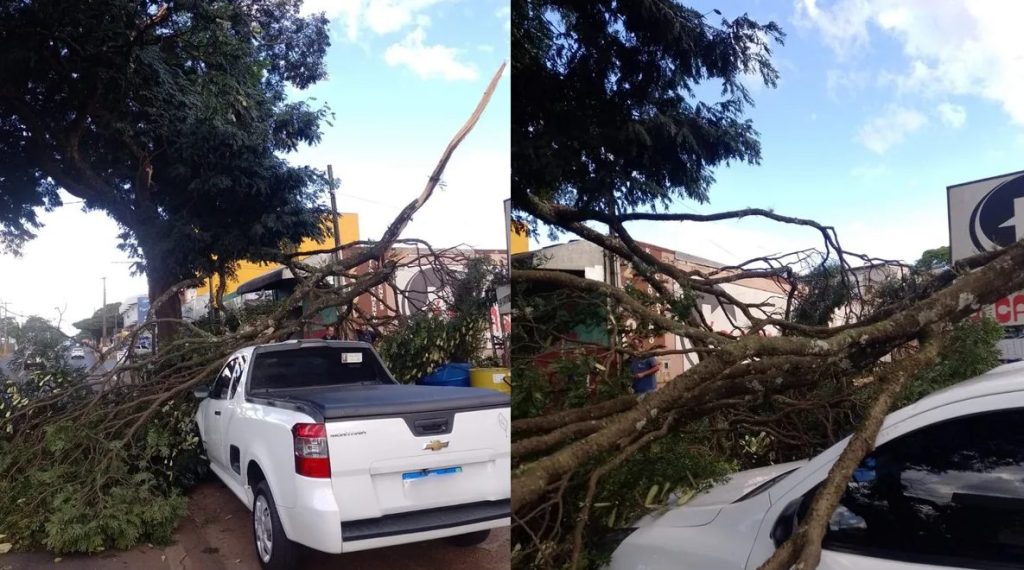Galho de árvore cai sobre carro em Apucarana