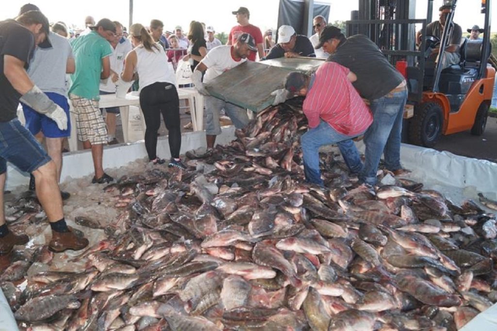 Boa Esperança vai distribuir cerca de 5 toneladas de peixes à população nesta quarta-feira