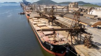 Movimentação de cargas nos portos do Paraná cresce 6,3% no primeiro trimestre