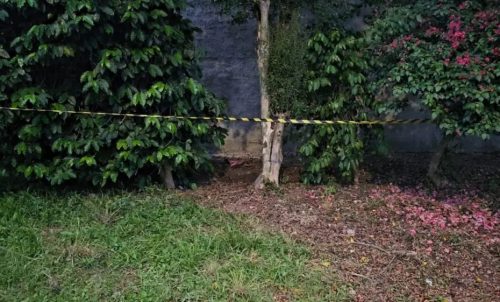 Jardineiro encontra roupinhas de bebê e feto enterrados em terreno Jardineiro encontra roupinhas de bebê e feto enterrados em terreno