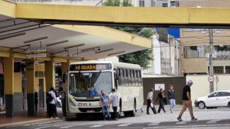 Do transporte metropolitano ao Procon: veja a programação dos órgãos públicos nos feriados
