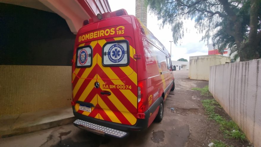 Podando árvores no Cemitério Central, trabalhador fica ferido