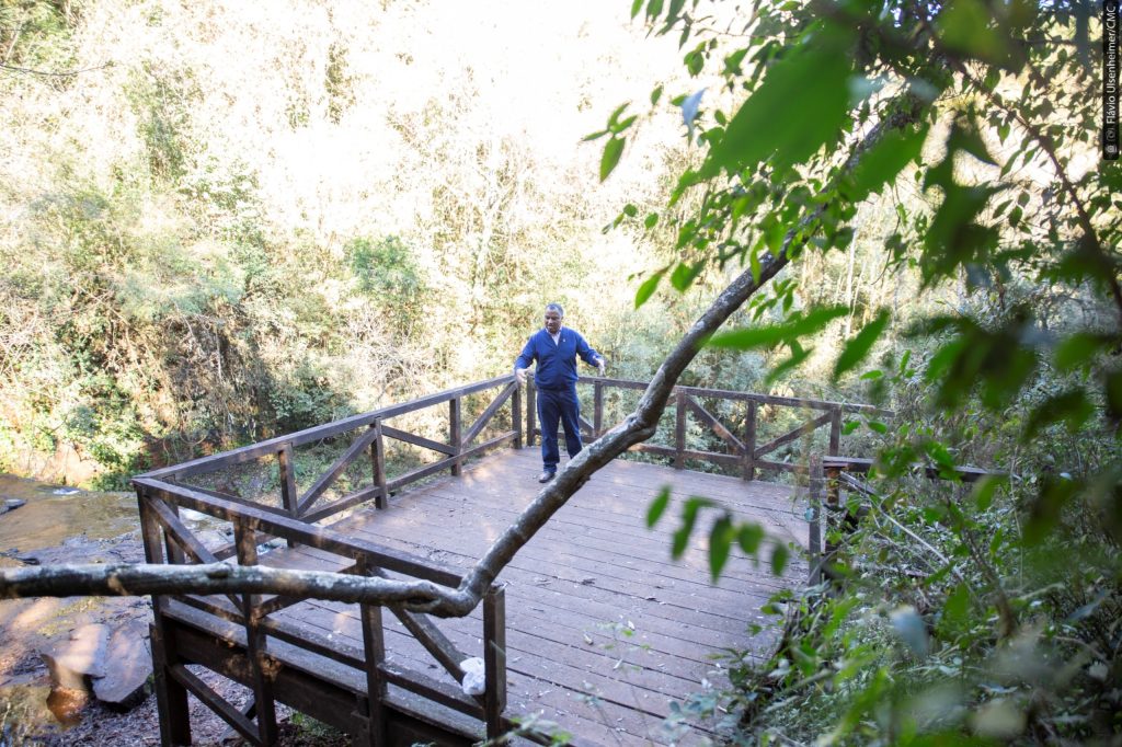 Comissão de Turismo pede estudo para privatização do Parque da Ponte Molhada Comissão de Turismo pede estudo para privatização do Parque da Ponte Molhada