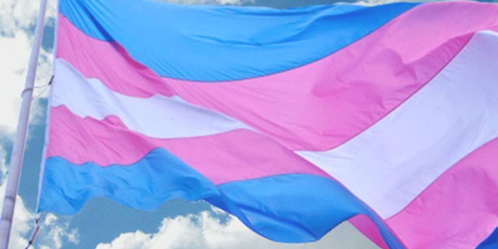 Entidades reagem a vetos de terapias hormonais para menores Entidades reagem a vetos de terapias hormonais para menores