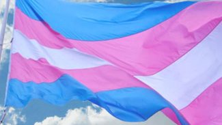 Entidades reagem a vetos de terapias hormonais para menores