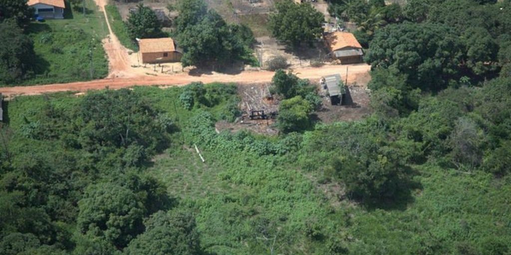 Desintrusão da Terra Indígena Arariboia gera R$ 956 mil em infrações Desintrusão da Terra Indígena Arariboia gera R$ 956 mil em infrações