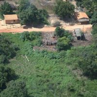 Imagem referente a Desintrusão da Terra Indígena Arariboia gera R$ 956 mil em infrações
