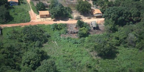 Desintrusão da Terra Indígena Arariboia gera R$ 956 mil em infrações Imagem referente a Desintrusão da Terra Indígena Arariboia gera R$ 956 mil em infrações