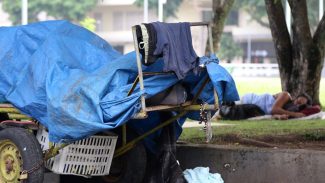 Mais de 335 mil pessoas vivem em situação de rua no Brasil