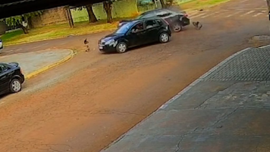 Imagem flagra forte colisão no Bairro Santo Onofre em Cascavel Imagem flagra forte colisão no Bairro Santo Onofre em Cascavel