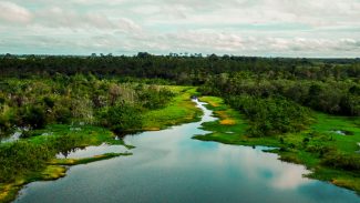 Área de proteção terá trilha ecológica e turismo de base comunitária