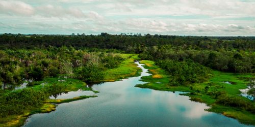 Imagem referente a Área de proteção terá trilha ecológica e turismo de base comunitária