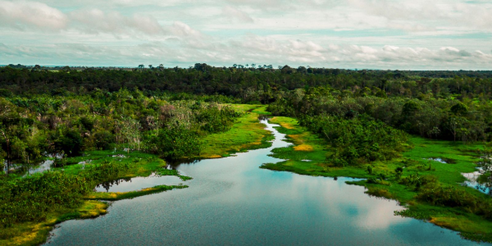Área de proteção terá trilha ecológica e turismo de base comunitária Área de proteção terá trilha ecológica e turismo de base comunitária