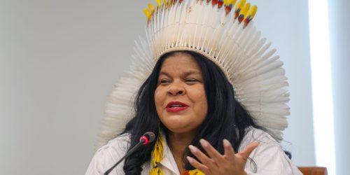 Ministra destaca trabalho inédito na proteção dos povos indígenas Imagem referente a Ministra destaca trabalho inédito na proteção dos povos indígenas