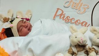 Hospitais têm programação especial de Páscoa para crianças internadas