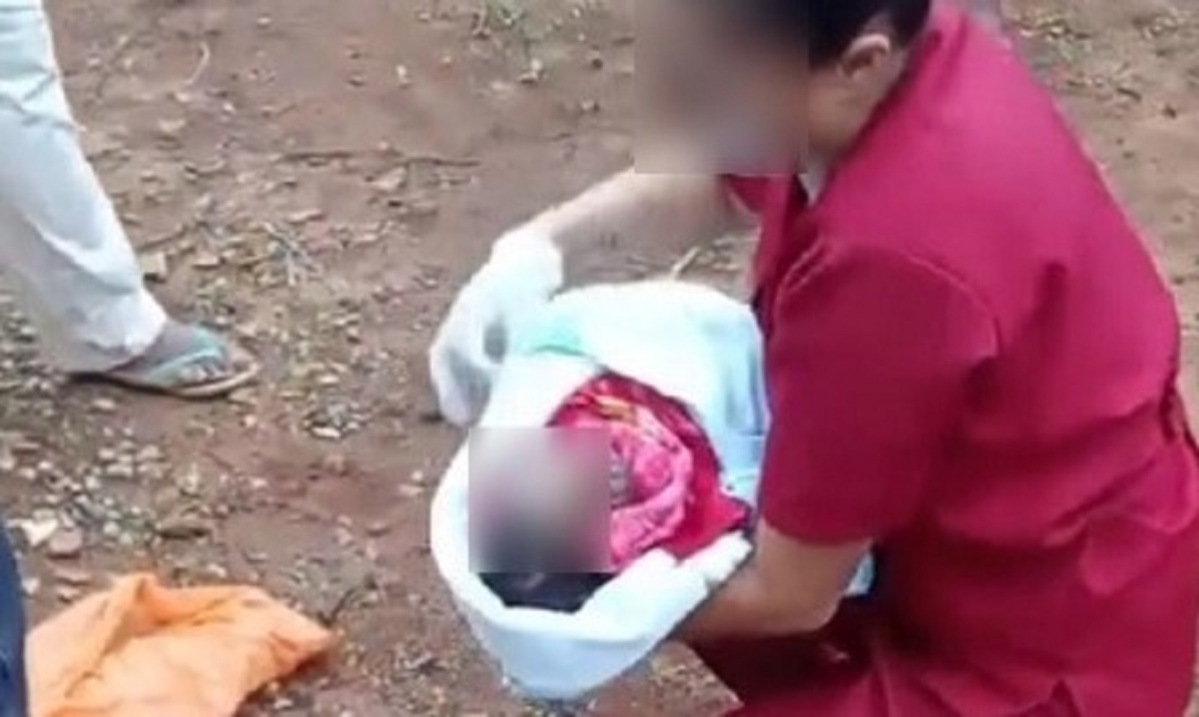 Recém-nascido vítima de abandono e ataque de cães morre em hospital