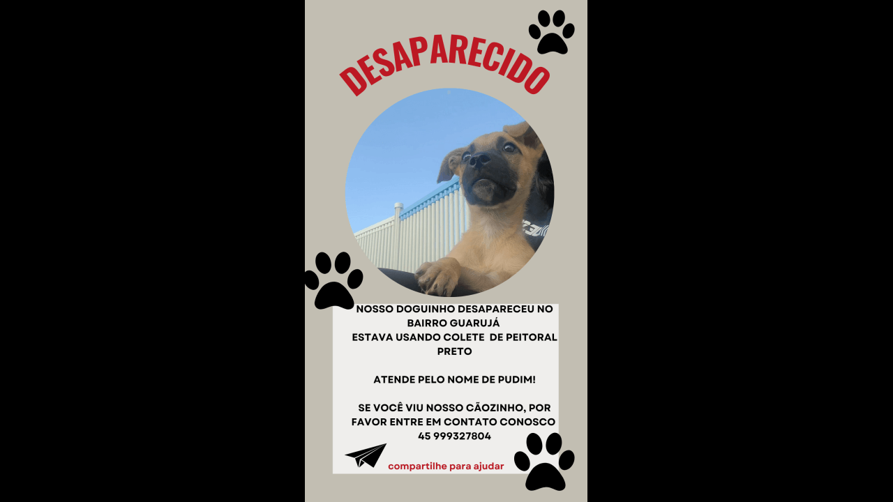 Cachorro Pudim desapareceu no bairro Guarujá