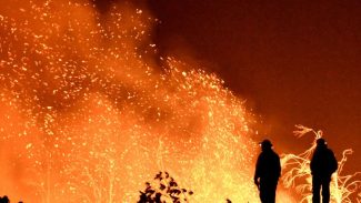 Incêndio florestal em Nova Jersey pode se tornar o maior do estado