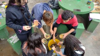 Clube de Ciências revitaliza escola e incentiva empreendedorismo em Colombo