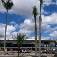 Imagem referente a Obras estão no prazo, dizem organizadores da COP30