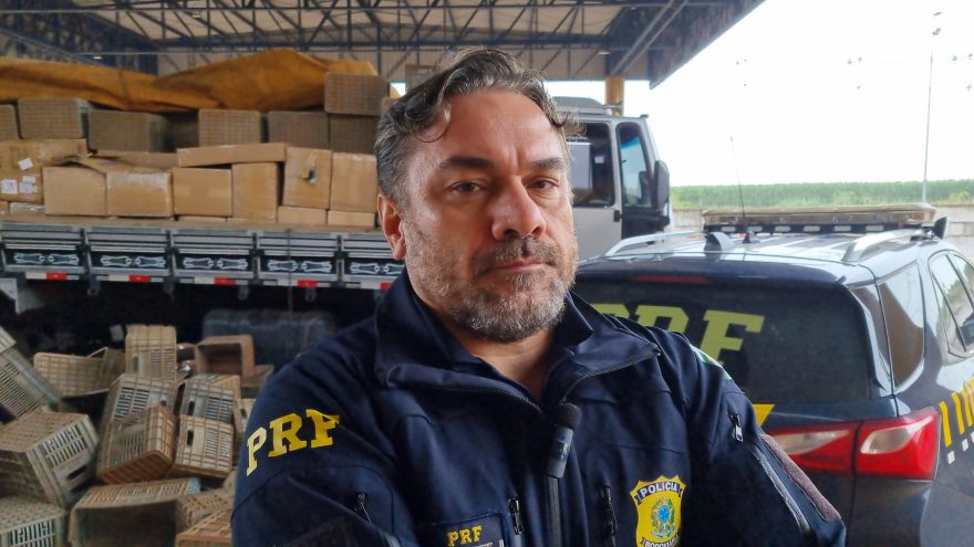 PRF dá detalhes de apreensão de 19.200 cigarros eletrônicos na BR-277 em Cascavel