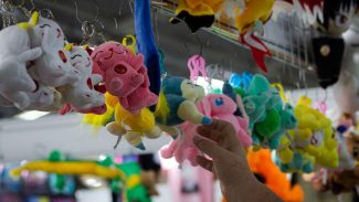 Feira de produtos orientais é atrativo imperdível da 7ª Nipofest