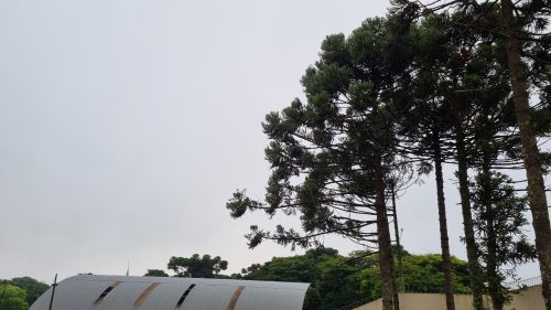 Céu carregado e umidade em alta: temperatura não passa de 24°C em Cascavel neste sábado Céu carregado e umidade em alta: temperatura não passa de 24°C em Cascavel neste sábado