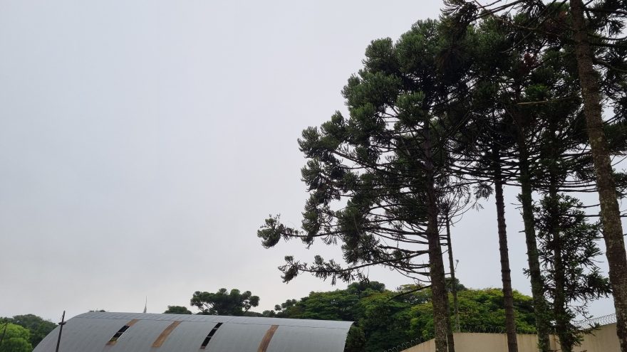 Céu carregado e umidade em alta: temperatura não passa de 24°C em Cascavel neste sábado