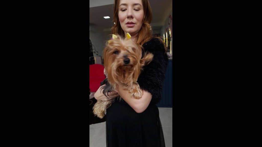 Cachorra é encontrada no bairro Neva Cachorra é encontrada no bairro Neva