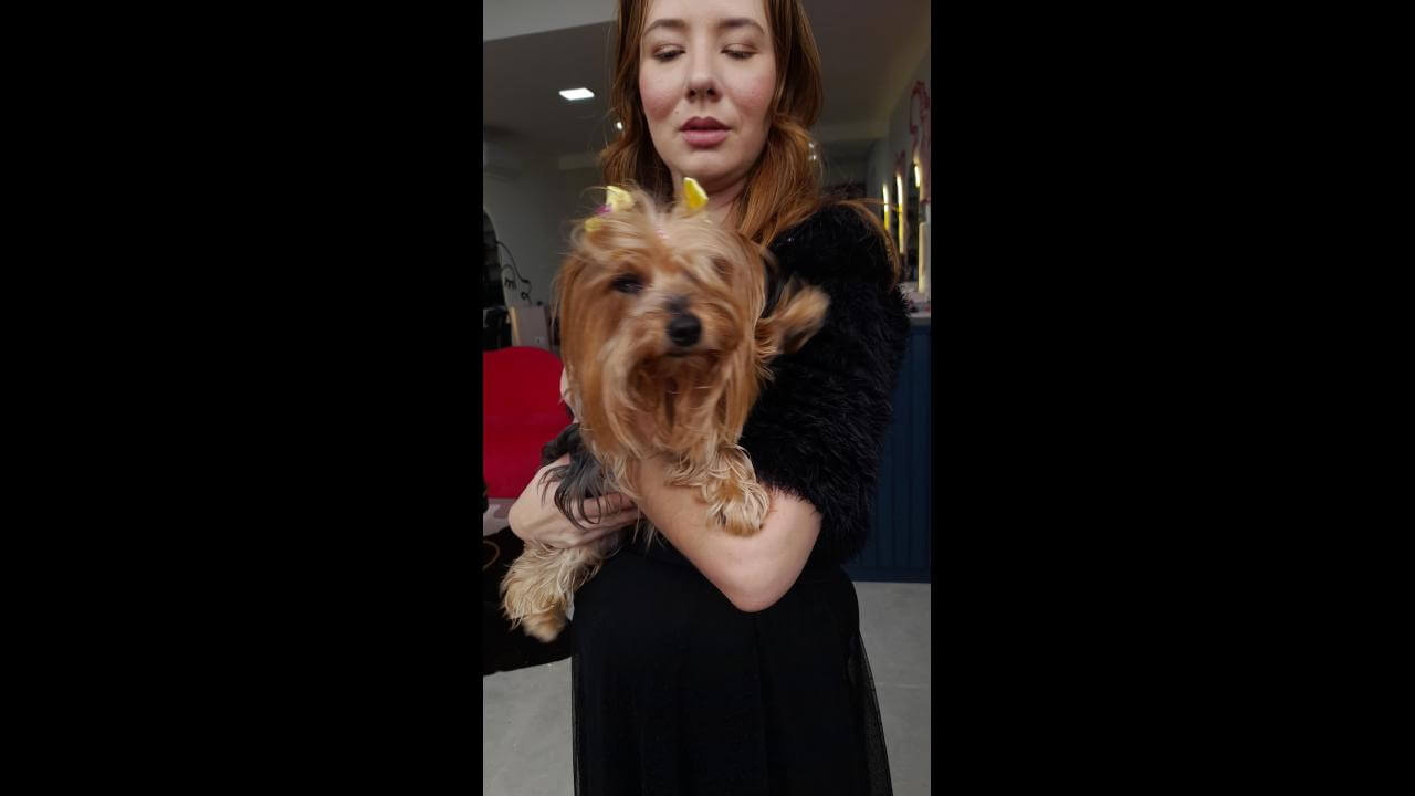 Cachorra é encontrada no bairro Neva Cachorra é encontrada no bairro Neva