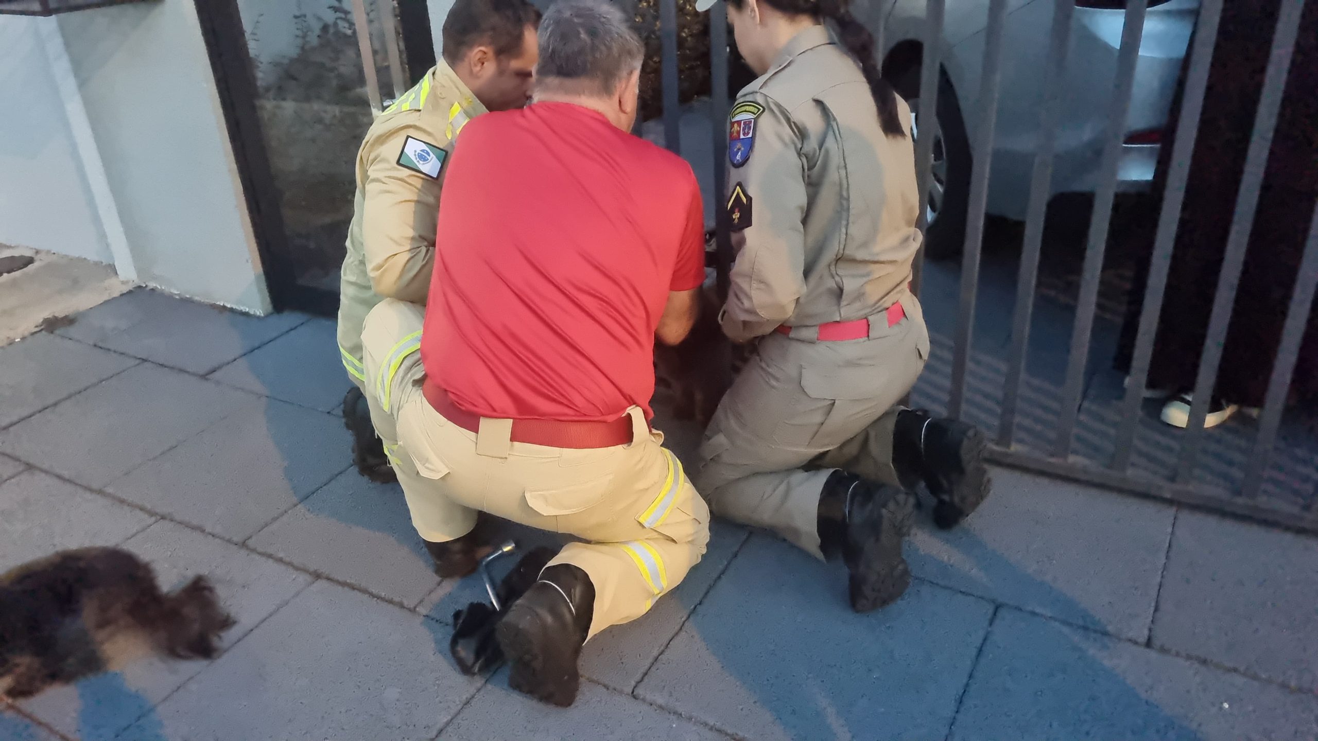 Cachorro fica preso em portão de residência e Corpo de Bombeiros é acionado para resgate