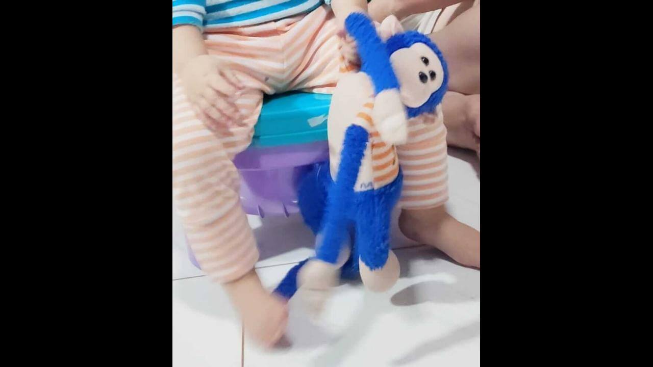 Família procura macaquinho de pelúcia perdido nas proximidades do JL