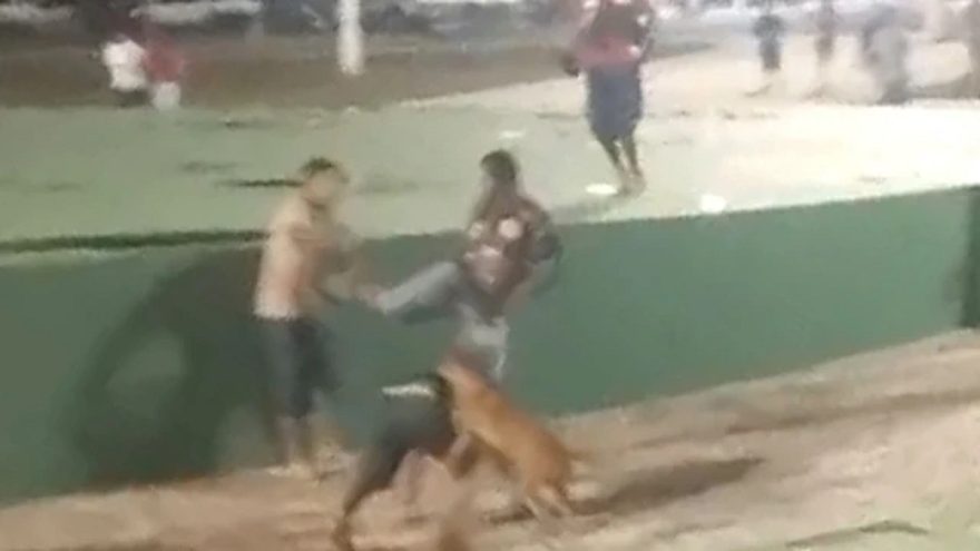 Briga na Avenida envolve até cachorro caramelo