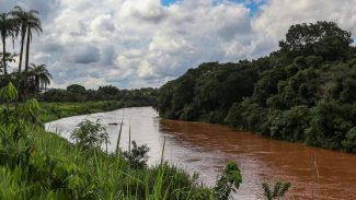 Vazamento de água em tubulação da Vale mobiliza Brumadinho