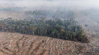 STF permite desapropriação de terra por incêndio ilegal e desmatamento