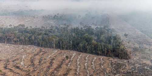 STF permite desapropriação de terra por incêndio ilegal e desmatamento Imagem referente a STF permite desapropriação de terra por incêndio ilegal e desmatamento