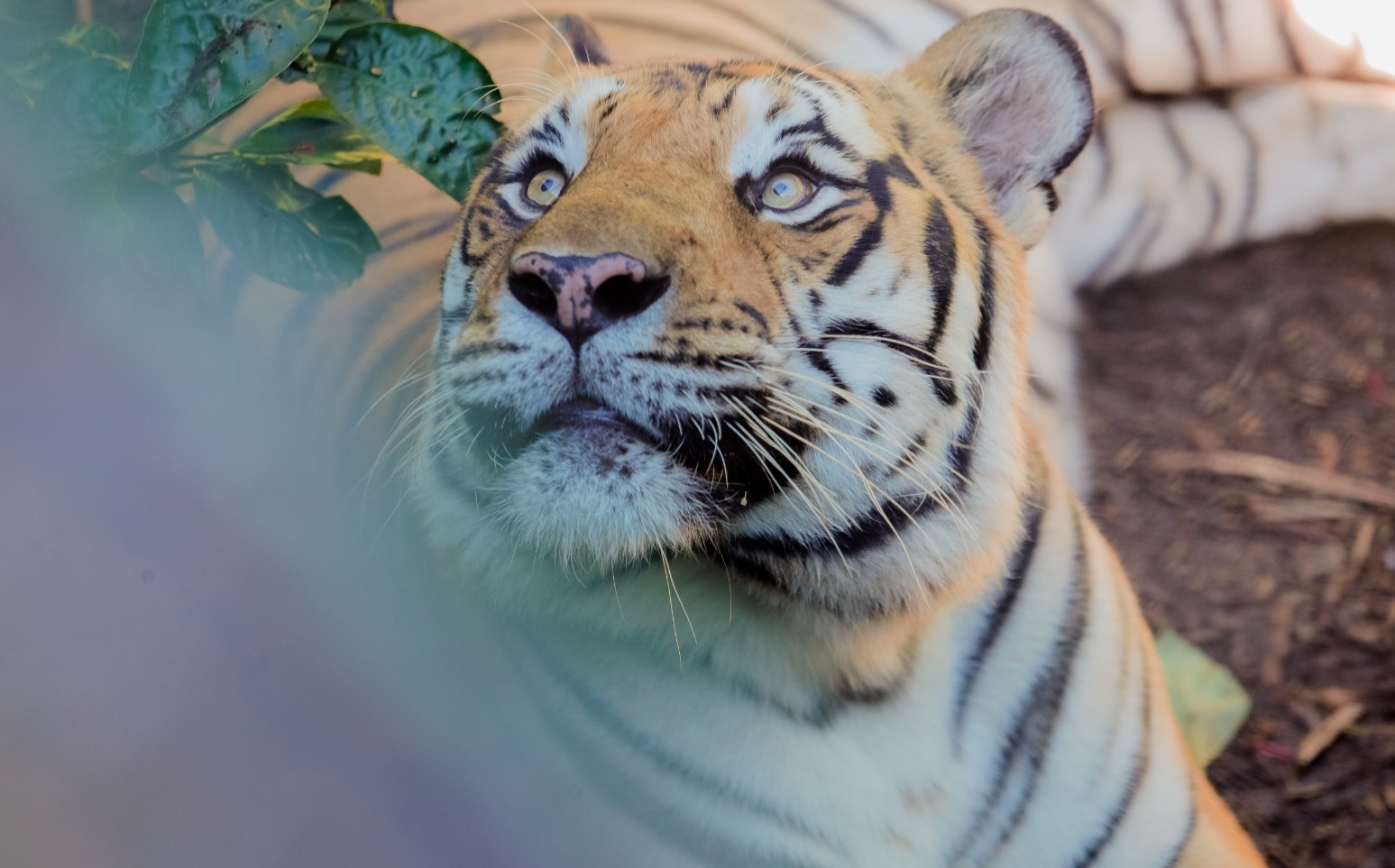Zoológico abre os portões para visitação no recesso de Dia do Trabalhador