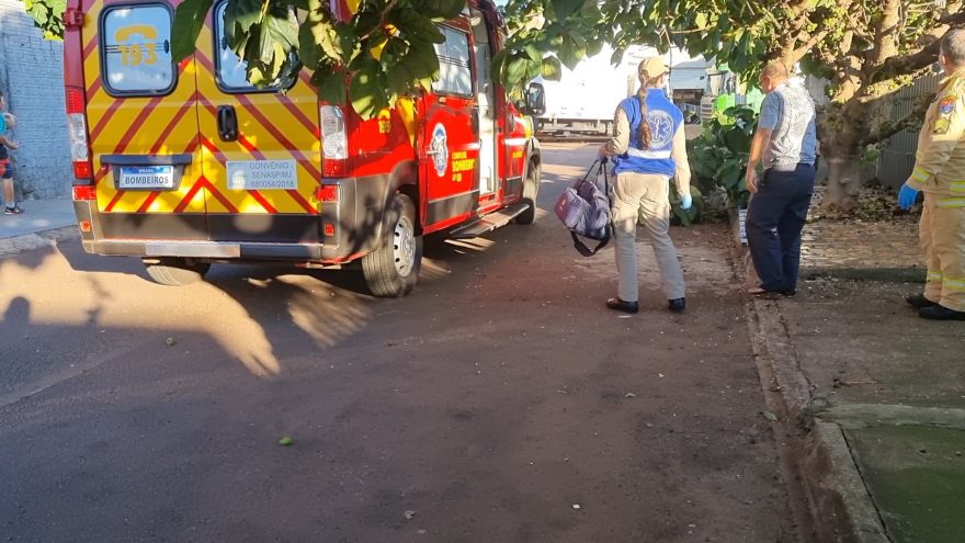 Homem cai enquanto podava árvore na Rua Cajueiro
