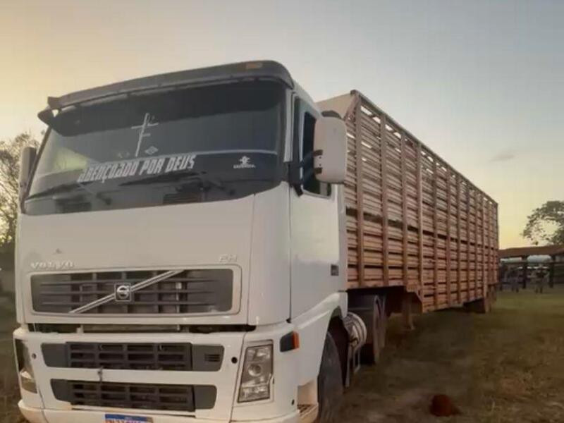 Quadrilha mantém três reféns em fazenda e rouba mais de 100 cabeças de gado
