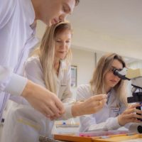 Imagem referente a Universidades estaduais: pesquisadores estão entre os 10% mais influentes do mundo