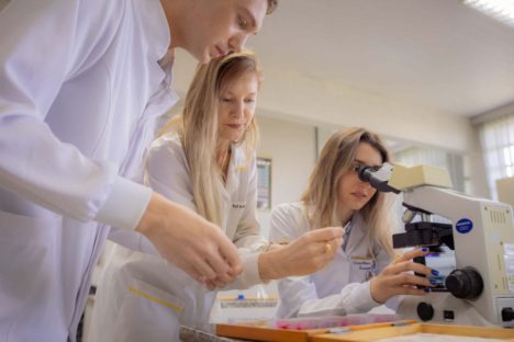Universidades estaduais: pesquisadores estão entre os 10% mais influentes do mundo Imagem referente a Universidades estaduais: pesquisadores estão entre os 10% mais influentes do mundo
