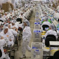 Imagem referente a 1º de Maio: PEC do Fim da Escala 6x1 continua fora da pauta da Câmara