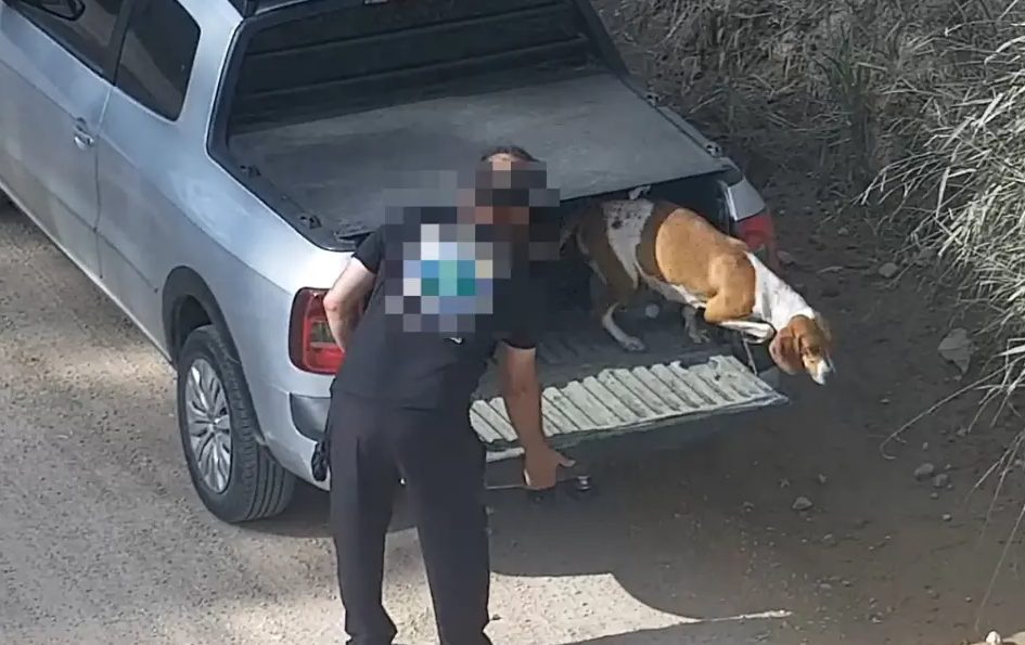 Crueldade! Homem abandona cachorra em rua movimentada, mas acaba preso