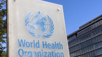OMS alerta para surto de antraz na República Democrática do Congo